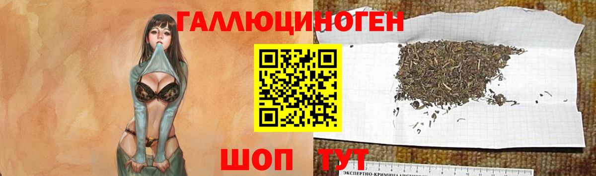 Богородицк  Псилоцибиновые грибы Psilocybe  Вход с VPN 